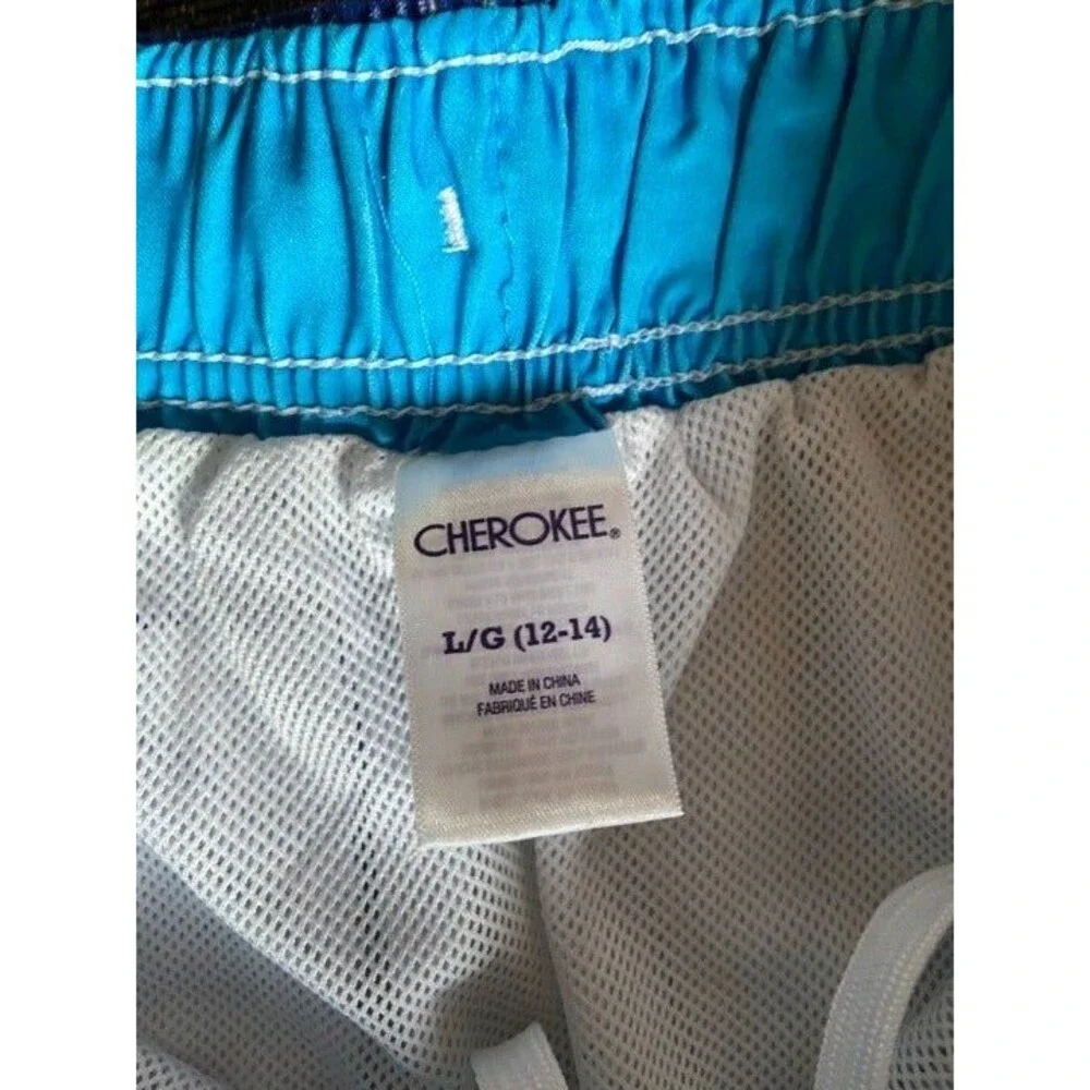 Boys Blue and Green Swim Trunks - Picture 2 of 4